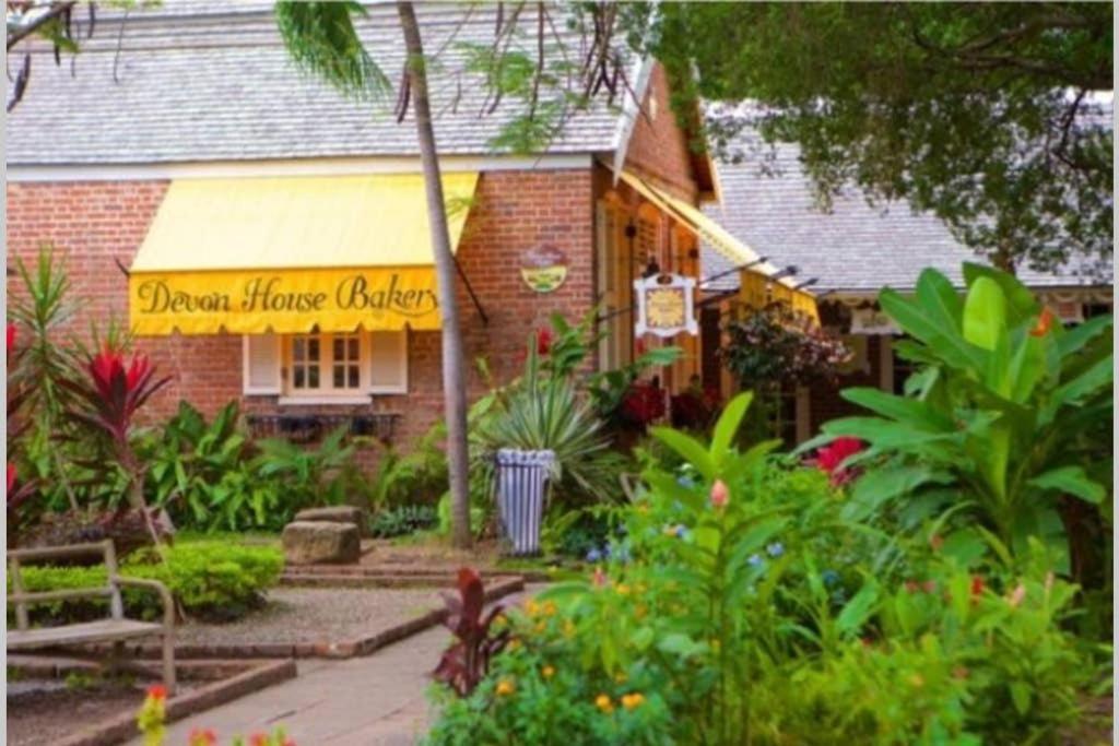 The Mango Lodge Kingston Exterior foto